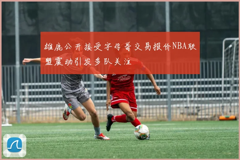雄鹿公开接受字母哥交易报价NBA联盟震动引发多队关注